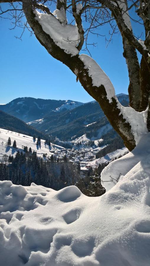 Das Hochkoenig Dienten am Hochkönig Esterno foto