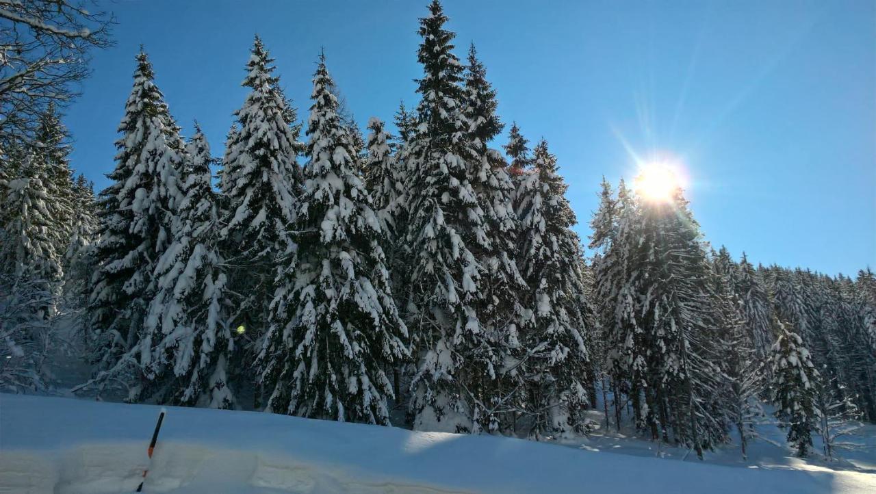 Das Hochkoenig Dienten am Hochkönig Esterno foto