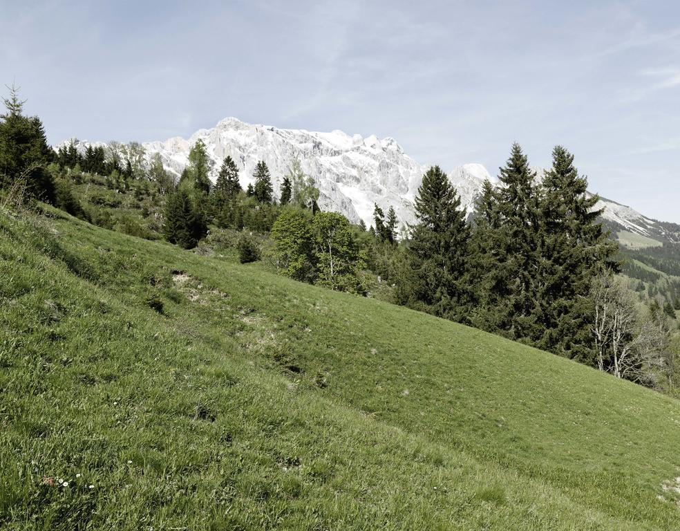 Das Hochkoenig Dienten am Hochkönig Esterno foto