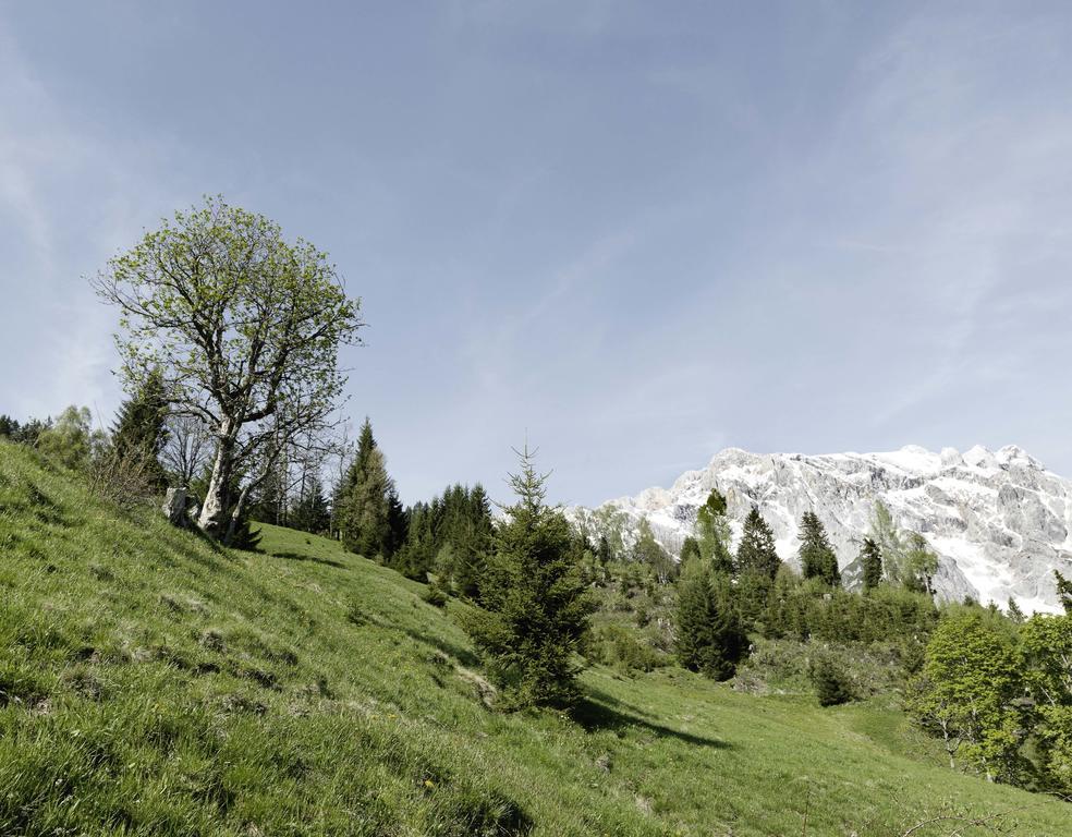 Das Hochkoenig Dienten am Hochkönig Esterno foto