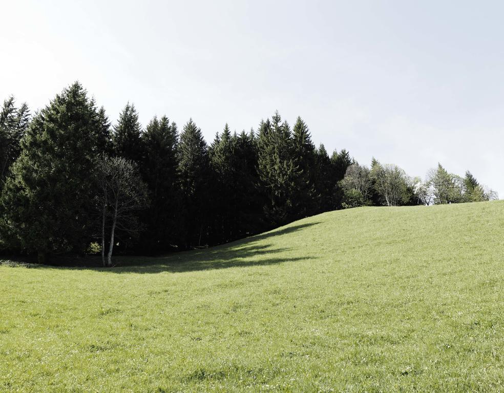Das Hochkoenig Dienten am Hochkönig Esterno foto